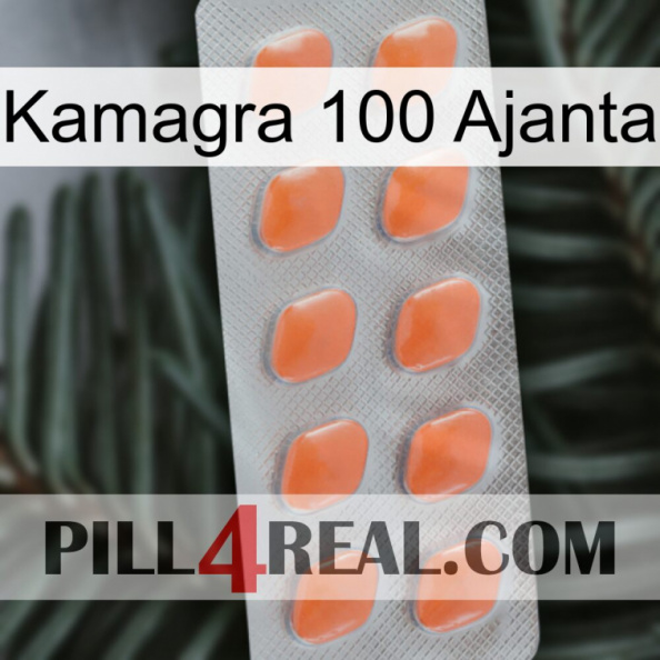 Kamagra 100 Ajanta 26.jpg